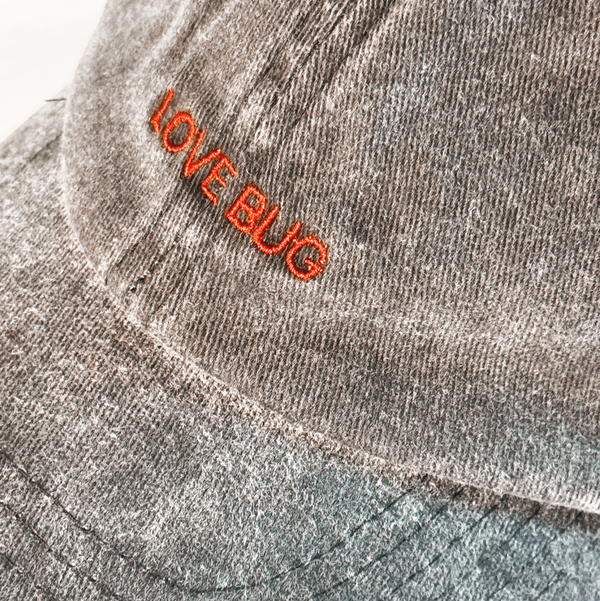 Love Bug Hat